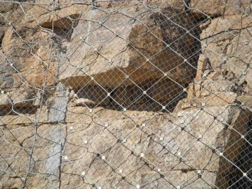 钛克网(布鲁克网)图片2