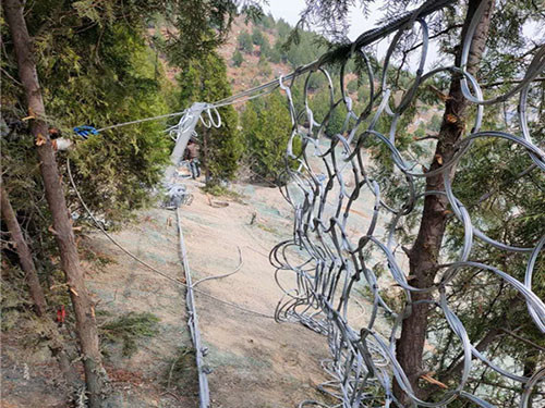 被动环形网图片2