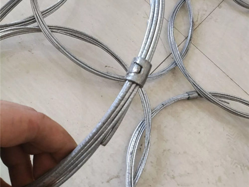 被动环形网图片3