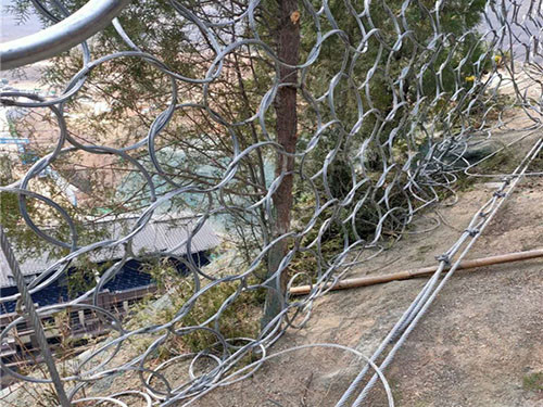 被动环形网图片4