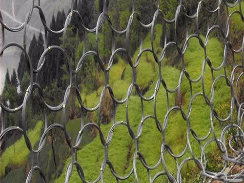 被动环形网图片5