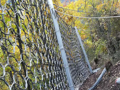 被动环形网图片6