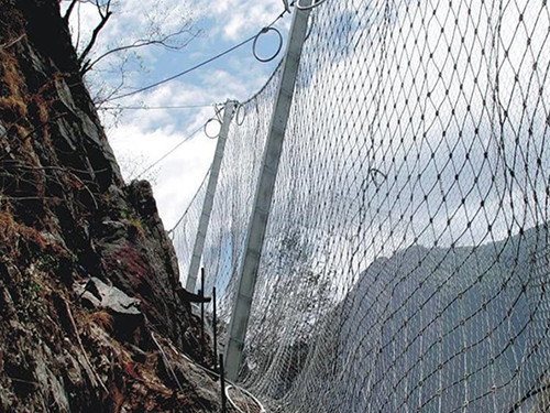 菱形被动网图片2