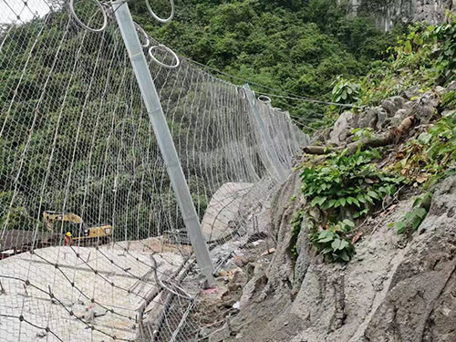 菱形被动网图片3