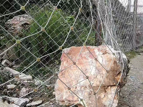 菱形被动网图片6