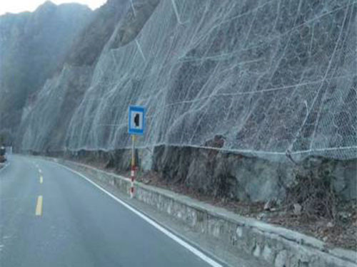 覆盖式帘式网图片3