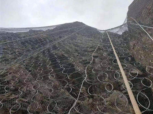 覆盖式帘式网图片4