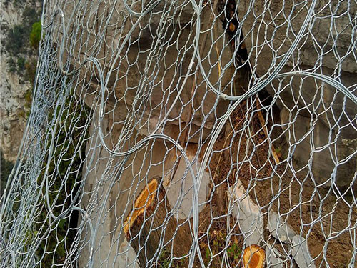 覆盖式帘式网图片6