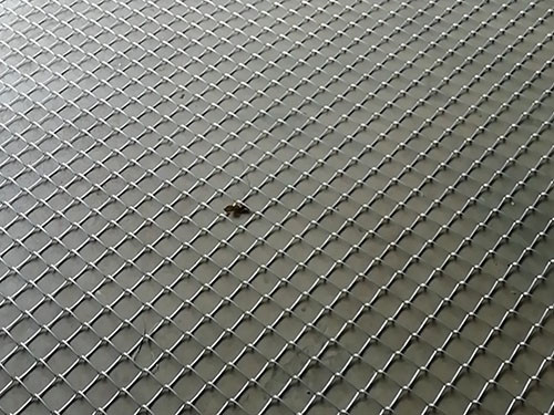 高强度格栅网图片4