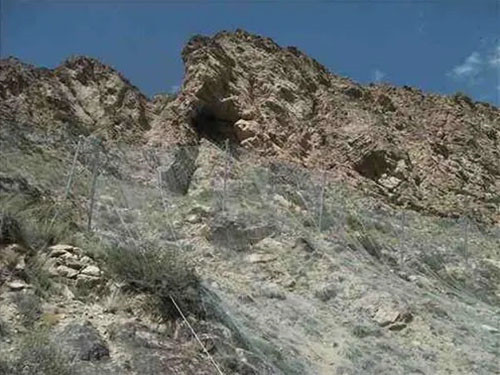 张口式帘式网图片2