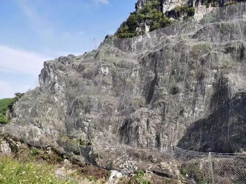 张口式帘式网图片4