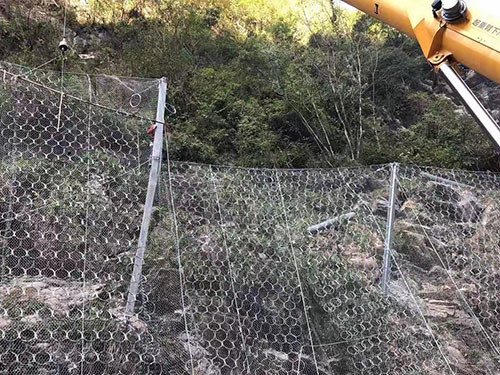 张口式帘式网图片6