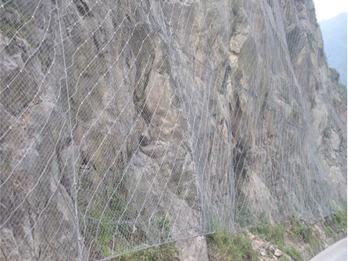 主动防护网图片2