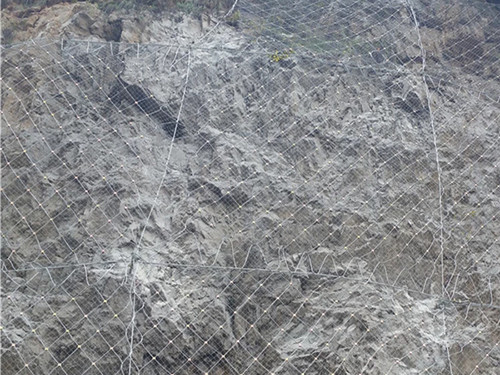 主动防护网图片3