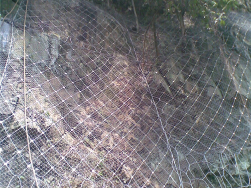 主动防护网图片4