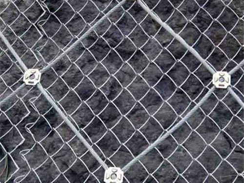 主动防护网图片5