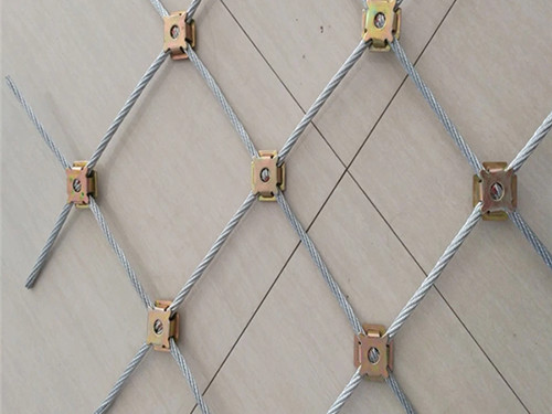 主动防护网图片7