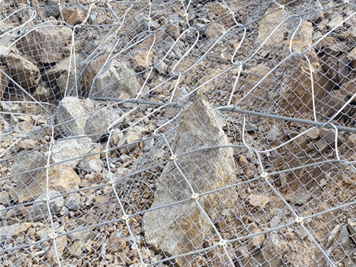 主动防护网图片8